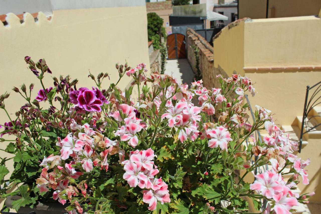 Ogliastra Luxury Apartment - Ajpsardinia Tortolì Eksteriør bilde